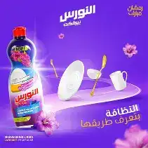 النورس سلة عرض 2 قطعة