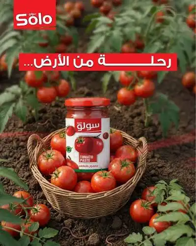 سولو بندورة مقشورة 300غ