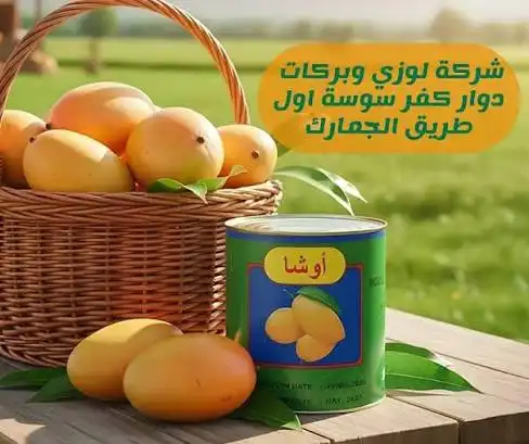 اوشا شرائح منغا 1 كغ